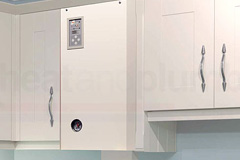 Fron Isaf electric boiler quotes